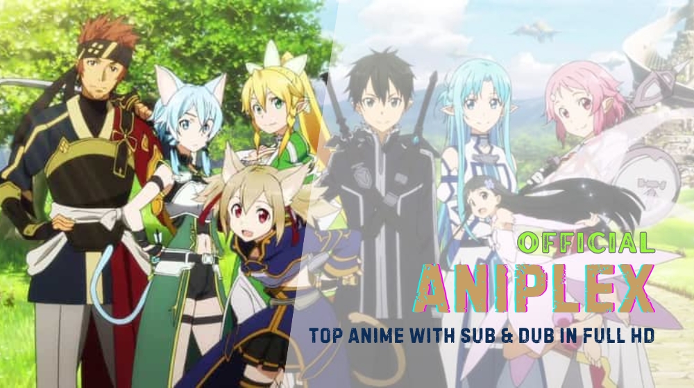 Aniplex